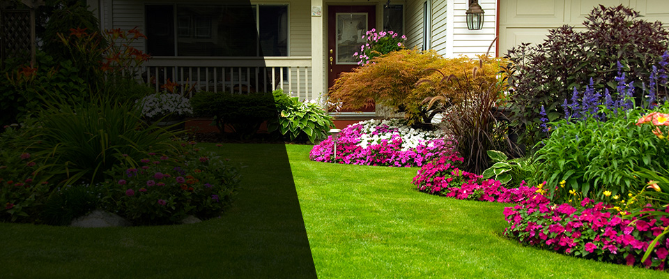 Chelsea Landscapers